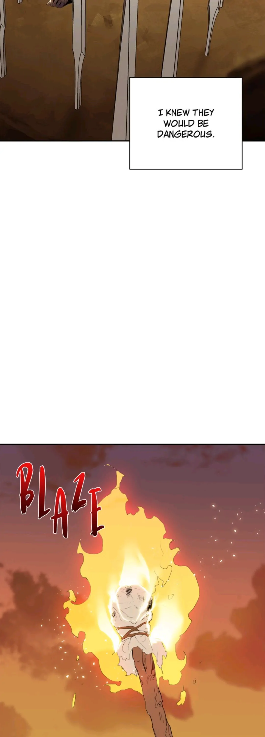 4893070 1080 3000 64578