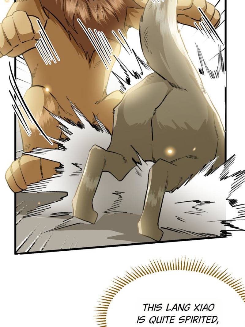 81494776 800 1067 97887